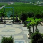 La ruta del vino de Alicante: bodegas y catas